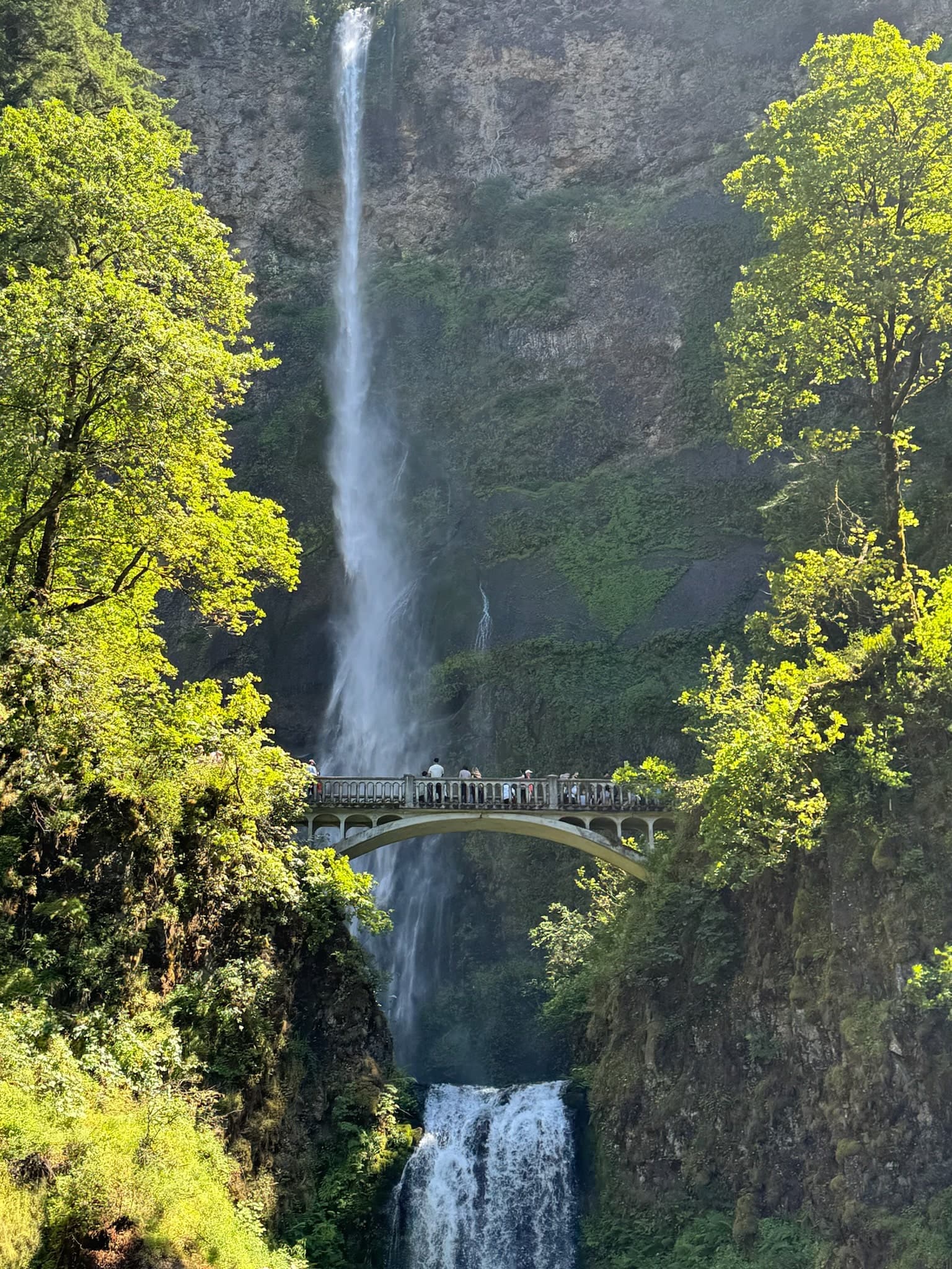 Multnomah waterfall in Oregon