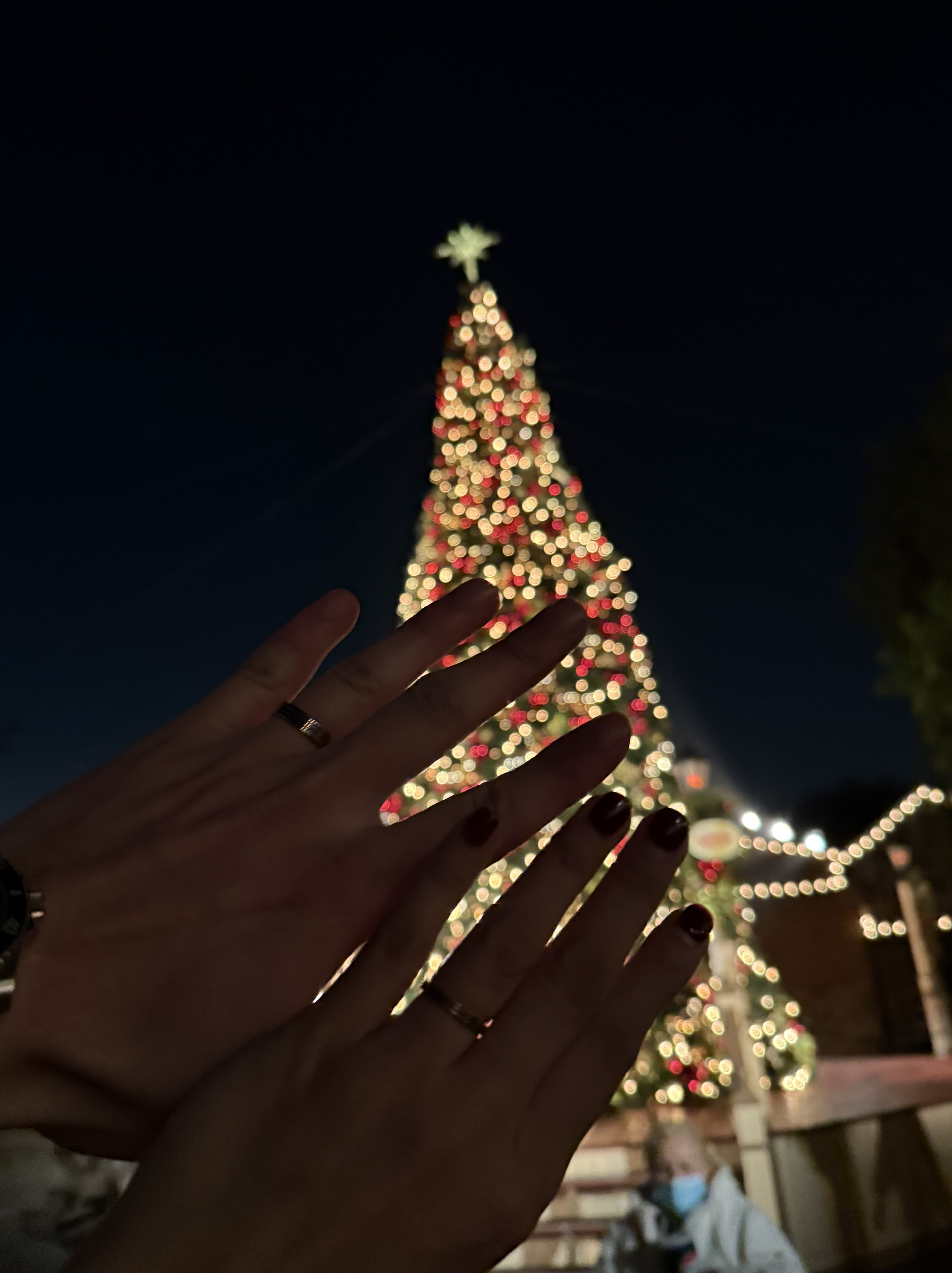 couple ring in Knotts Berry Farm